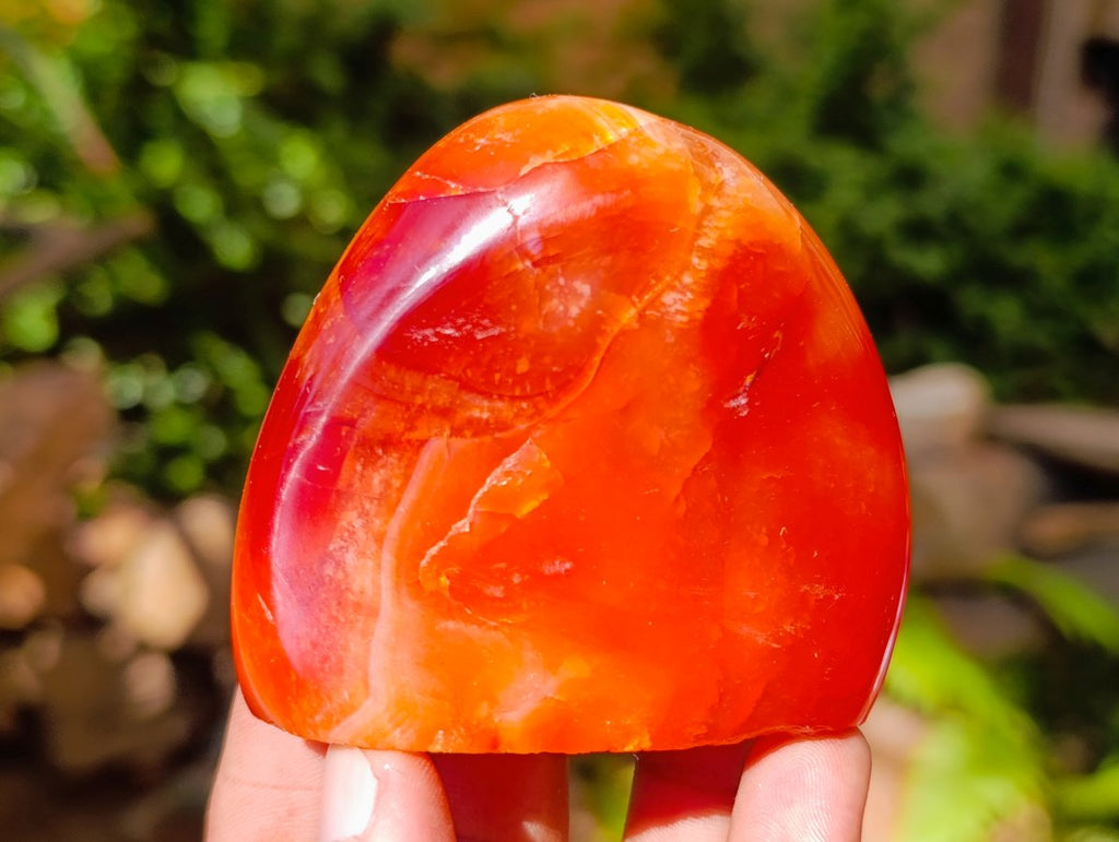 Polished Carnelian Agate Gemstone Standing Free Forms x 12 From Madagascar - Toprock Gemstones and Minerals 