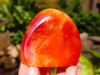 Polished Carnelian Agate Gemstone Standing Free Forms x 12 From Madagascar - Toprock Gemstones and Minerals 