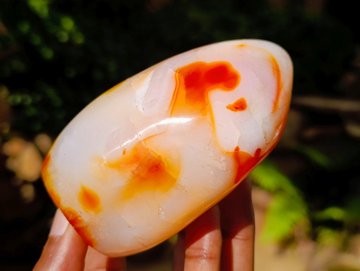 Polished Carnelian Agate Gemstone Standing Free Forms x 12 From Madagascar - Toprock Gemstones and Minerals 