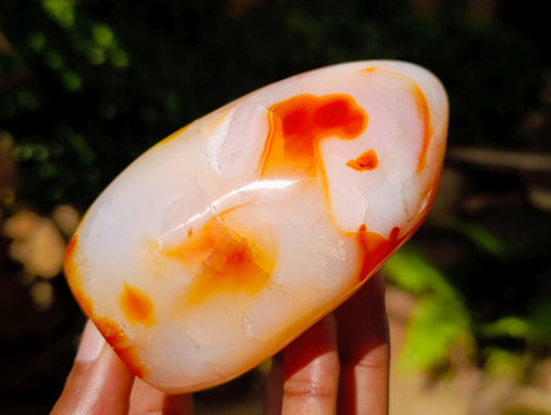 Polished Carnelian Agate Gemstone Standing Free Forms x 12 From Madagascar - Toprock Gemstones and Minerals 