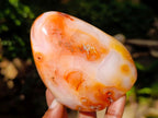 Polished Carnelian Agate Gemstone Standing Free Forms x 12 From Madagascar - Toprock Gemstones and Minerals 