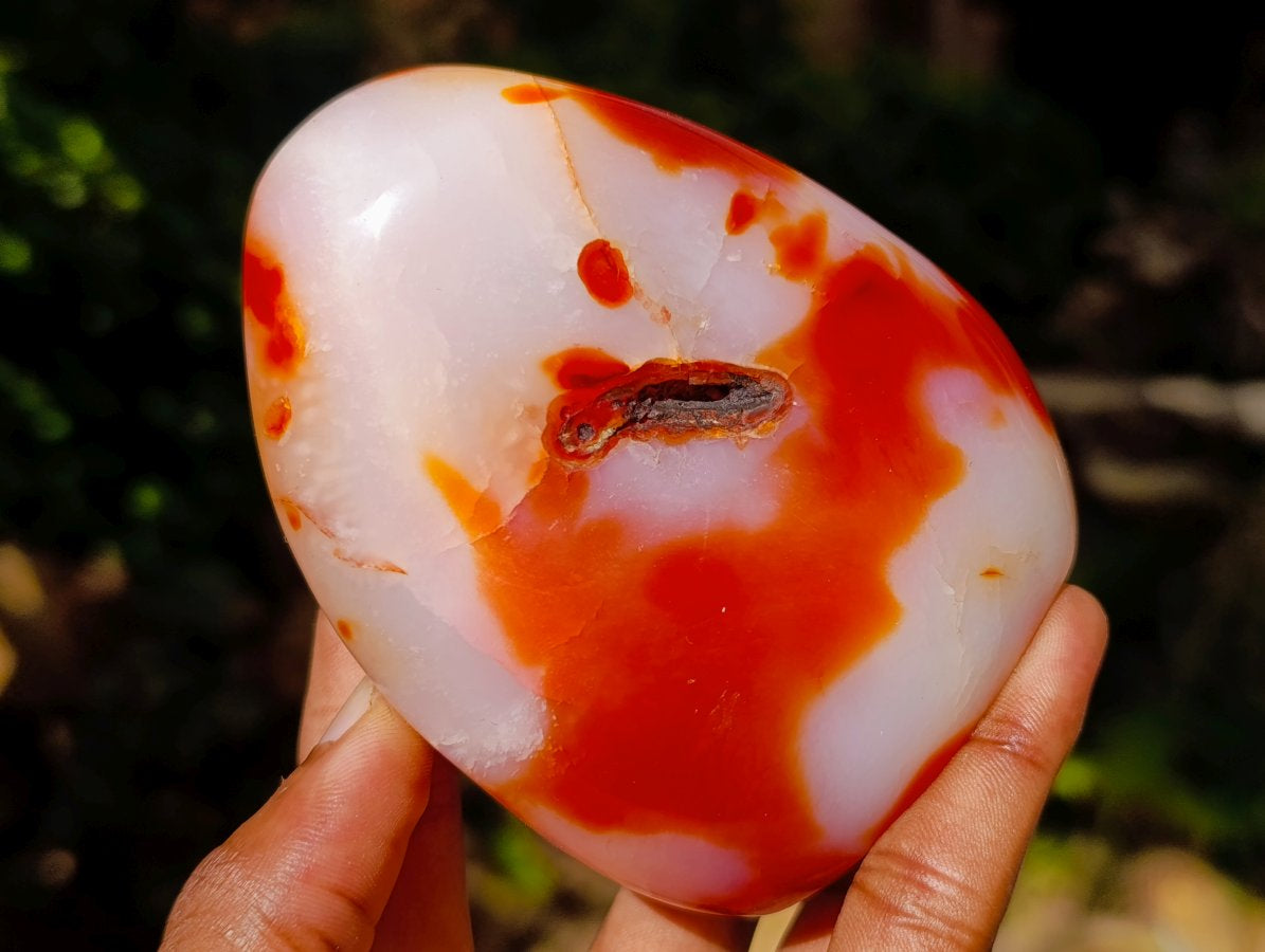 Polished Carnelian Agate Gemstone Standing Free Forms x 12 From Madagascar - Toprock Gemstones and Minerals 
