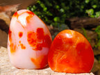 Polished Carnelian Agate Gemstone Standing Free Forms x 12 From Madagascar - Toprock Gemstones and Minerals 