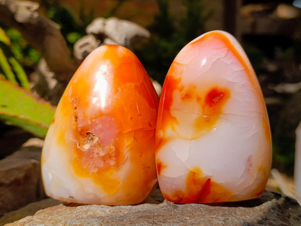 Polished Carnelian Agate Gemstone Standing Free Forms x 12 From Madagascar - Toprock Gemstones and Minerals 