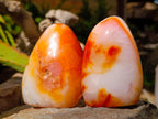 Polished Carnelian Agate Gemstone Standing Free Forms x 12 From Madagascar - Toprock Gemstones and Minerals 