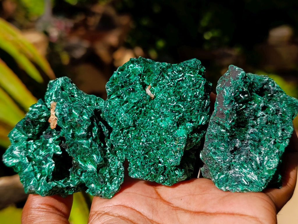 Natural Silky Malachite Specimens x 12 From Kasompe, Congo - Toprock Gemstones and Minerals 