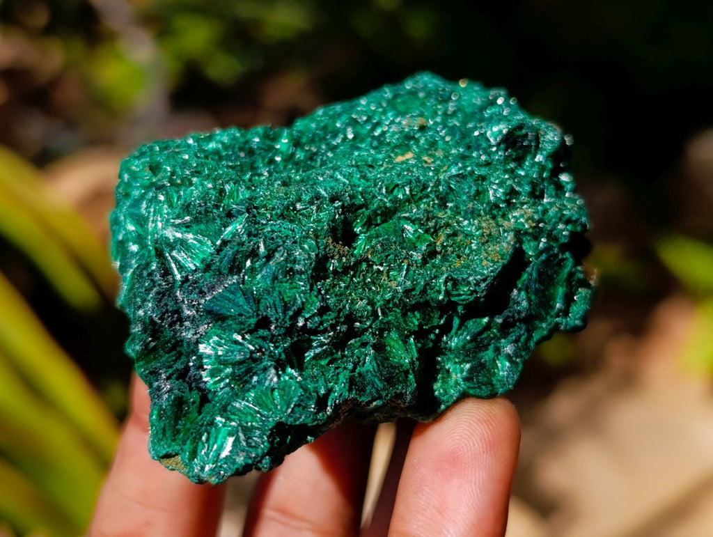 Natural Silky Malachite Specimens x 12 From Kasompe, Congo - Toprock Gemstones and Minerals 
