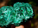 Natural Silky Malachite Specimens x 12 From Kasompe, Congo - Toprock Gemstones and Minerals 