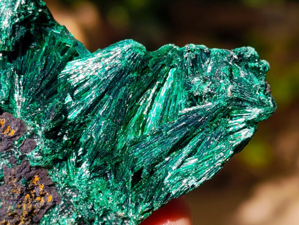 Natural Silky Malachite Specimens x 12 From Kasompe, Congo - Toprock Gemstones and Minerals 