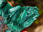 Natural Silky Malachite Specimens x 12 From Kasompe, Congo - Toprock Gemstones and Minerals 