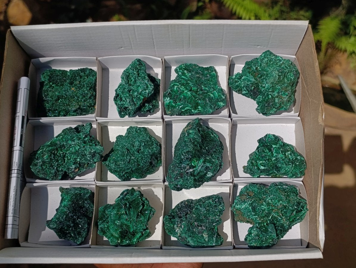 Natural Silky Malachite Specimens x 12 From Kasompe, Congo - Toprock Gemstones and Minerals 