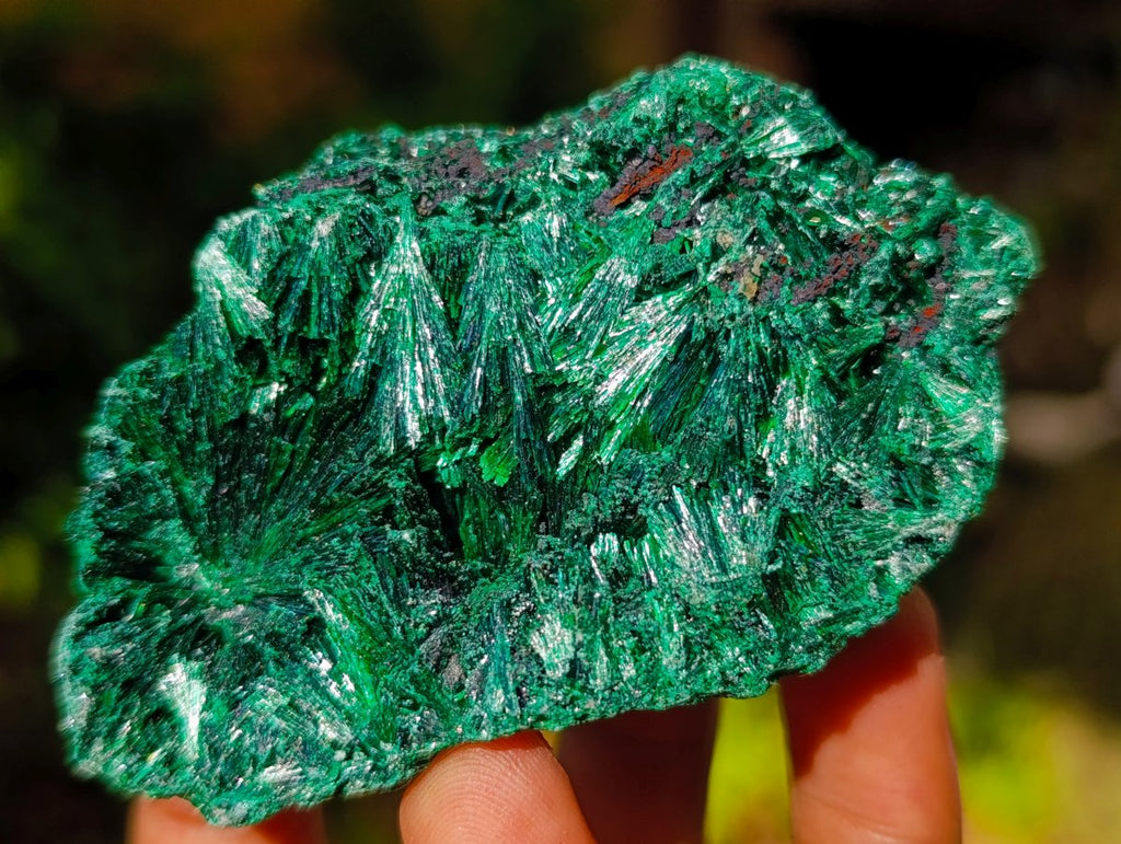 Natural Silky Malachite Specimens x 12 From Kasompe, Congo - Toprock Gemstones and Minerals 