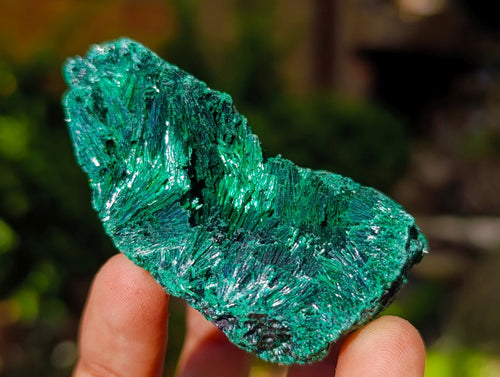 Natural Silky Malachite Specimens x 12 From Kasompe, Congo - Toprock Gemstones and Minerals 