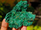Natural Silky Malachite Specimens x 12 From Kasompe, Congo - Toprock Gemstones and Minerals 