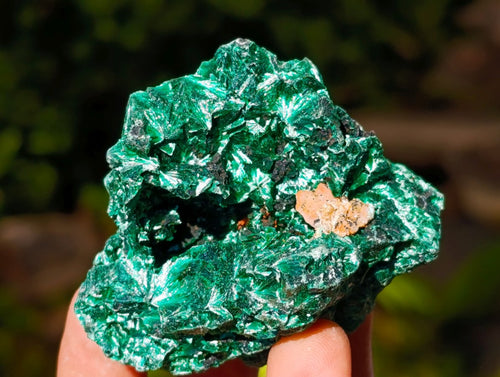 Natural Silky Malachite Specimens x 12 From Kasompe, Congo - Toprock Gemstones and Minerals 