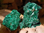Natural Silky Malachite Specimens x 12 From Kasompe, Congo - Toprock Gemstones and Minerals 
