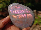 Polished Rare Purple Sunset Flash Labradorite Standing Free Forms x 6 From Madagascar - Toprock Gemstones and Minerals 