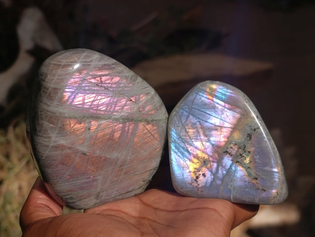 Polished Rare Purple Sunset Flash Labradorite Standing Free Forms x 6 From Madagascar - Toprock Gemstones and Minerals 
