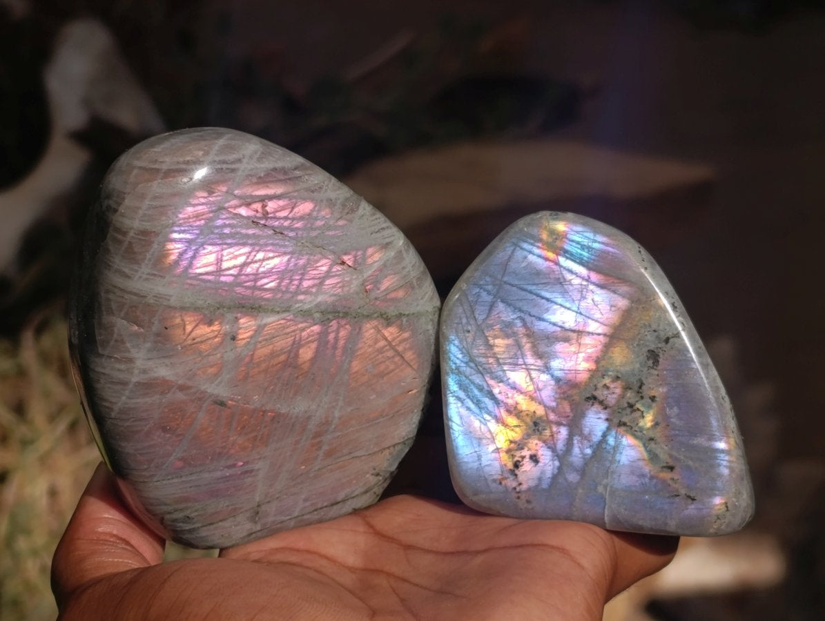 Polished Rare Purple Sunset Flash Labradorite Standing Free Forms x 6 From Madagascar - Toprock Gemstones and Minerals 