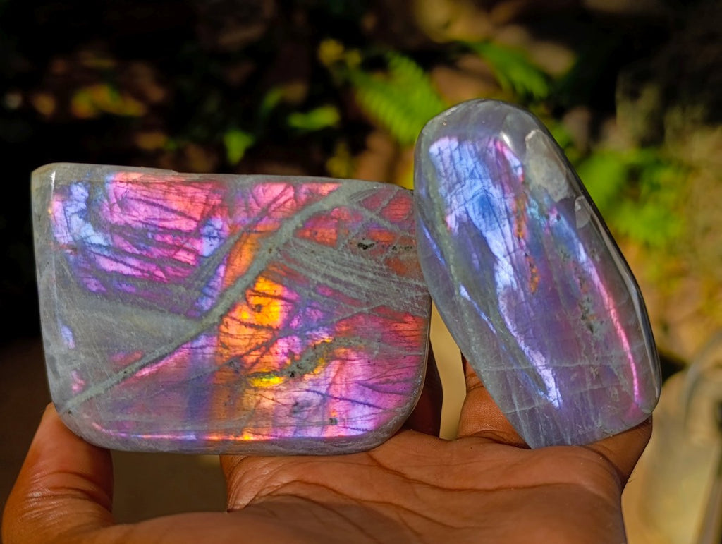 Polished Rare Purple Sunset Flash Labradorite Standing Free Forms x 6 From Madagascar - Toprock Gemstones and Minerals 