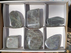 Polished Rare Purple Sunset Flash Labradorite Standing Free Forms x 6 From Madagascar - Toprock Gemstones and Minerals 