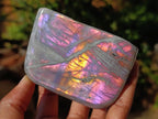 Polished Rare Purple Sunset Flash Labradorite Standing Free Forms x 6 From Madagascar - Toprock Gemstones and Minerals 
