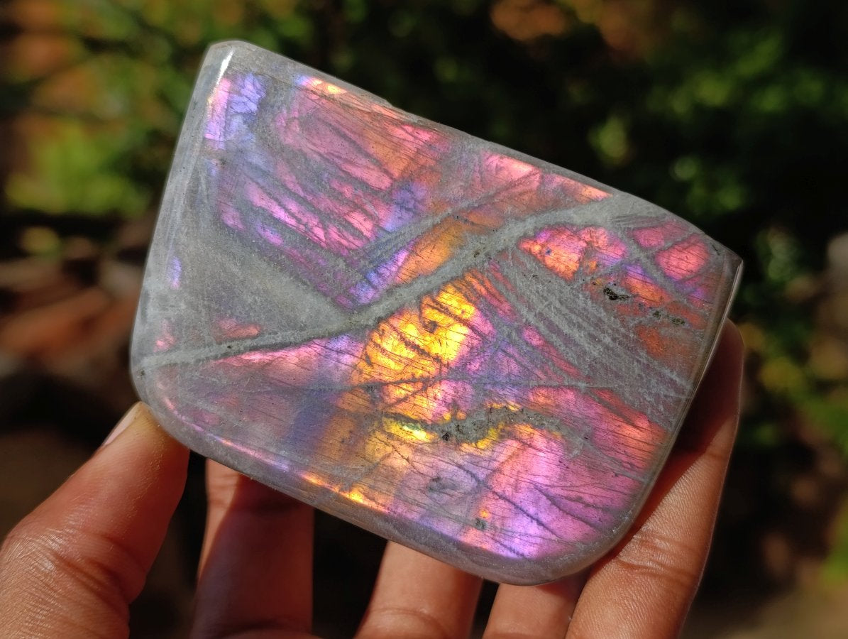Polished Rare Purple Sunset Flash Labradorite Standing Free Forms x 6 From Madagascar - Toprock Gemstones and Minerals 