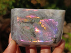 Polished Rare Purple Sunset Flash Labradorite Standing Free Forms x 6 From Madagascar - Toprock Gemstones and Minerals 