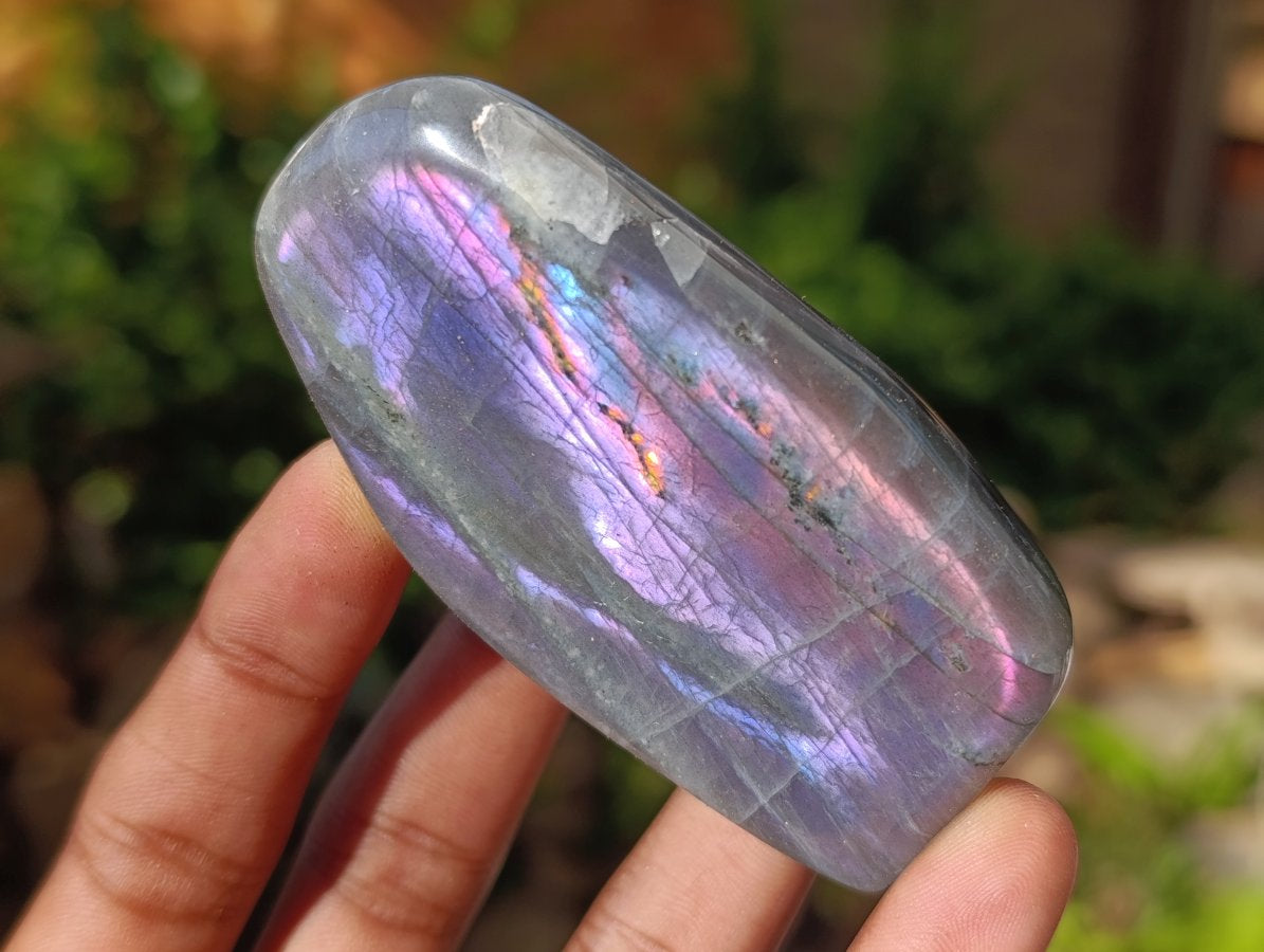 Polished Rare Purple Sunset Flash Labradorite Standing Free Forms x 6 From Madagascar - Toprock Gemstones and Minerals 