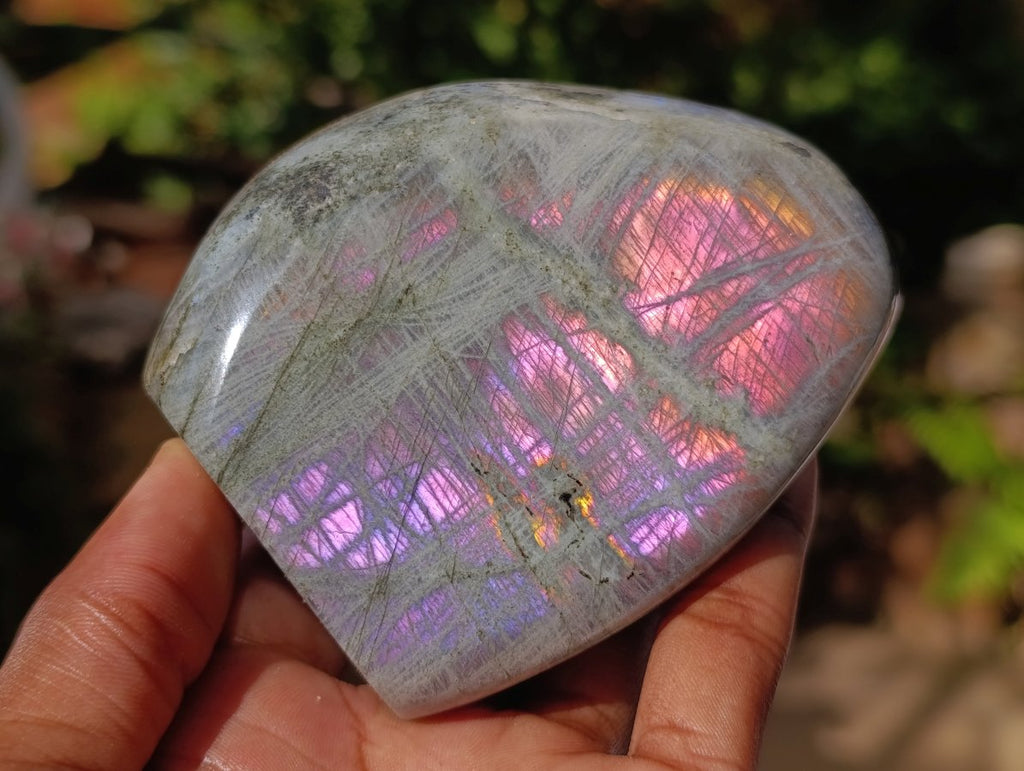 Polished Rare Purple Sunset Flash Labradorite Standing Free Forms x 6 From Madagascar - Toprock Gemstones and Minerals 