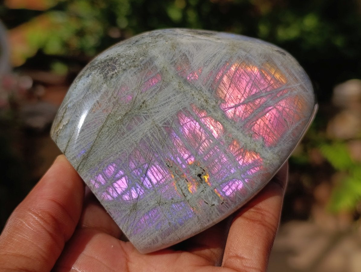 Polished Rare Purple Sunset Flash Labradorite Standing Free Forms x 6 From Madagascar - Toprock Gemstones and Minerals 