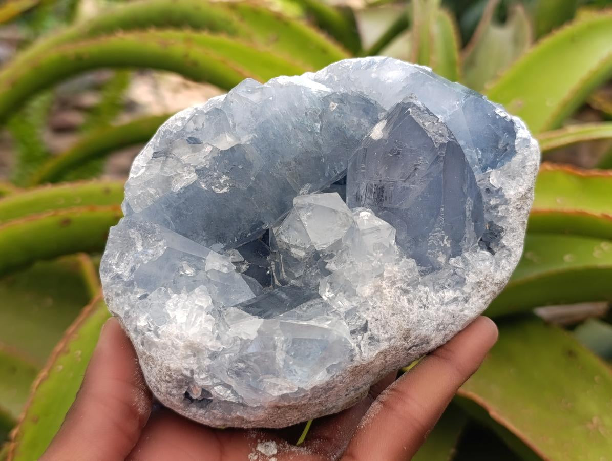 Natural Blue Celestite Geode Cluster Specimens x 2 From Sakoany, Madagascar - Toprock Gemstones and Minerals 