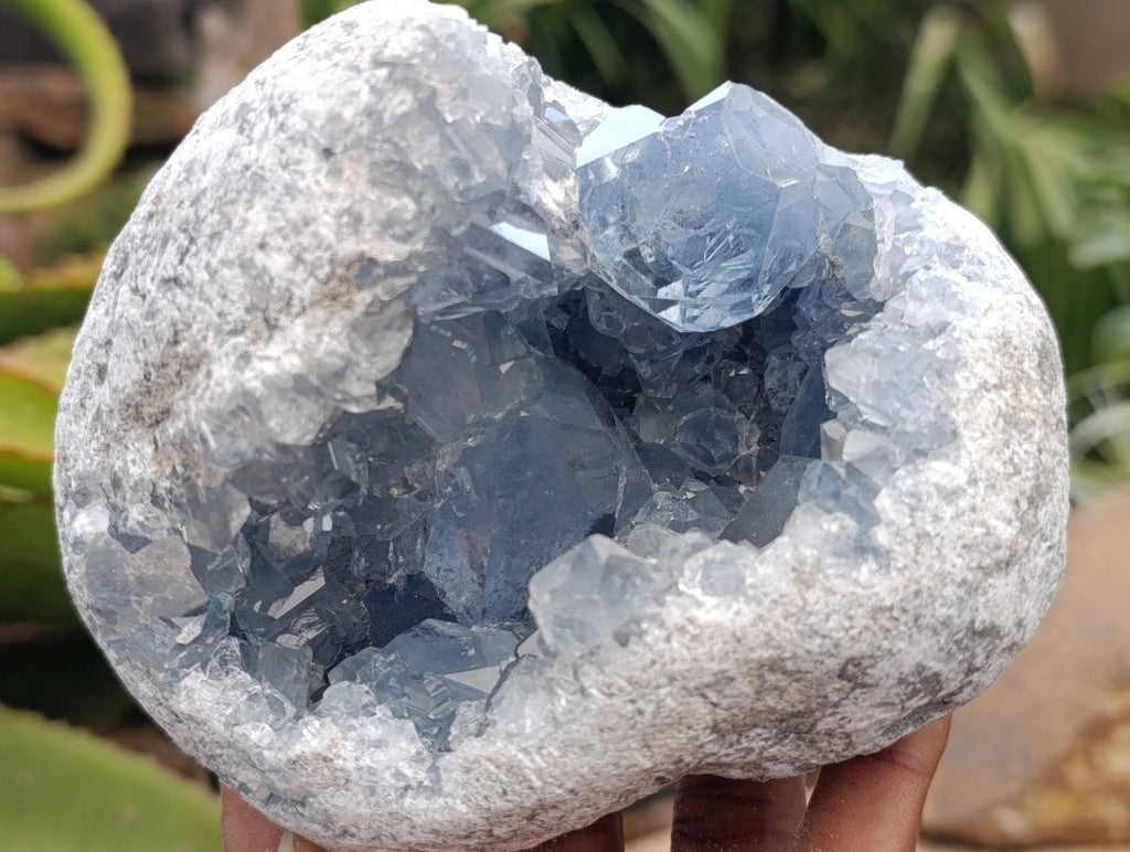 Natural Blue Celestite Geode Cluster Specimens x 2 From Sakoany, Madagascar - Toprock Gemstones and Minerals 