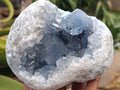 Natural Blue Celestite Geode Cluster Specimens x 2 From Sakoany, Madagascar - Toprock Gemstones and Minerals 