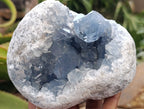 Natural Blue Celestite Geode Cluster Specimens x 2 From Sakoany, Madagascar - Toprock Gemstones and Minerals 