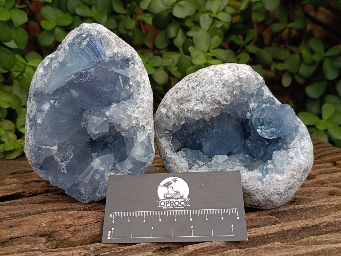 Natural Blue Celestite Geode Cluster Specimens x 2 From Sakoany, Madagascar - Toprock Gemstones and Minerals 