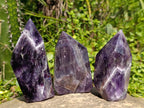 Polished Dark Purple Chevron Amethyst Crystals x 3 From Zambia - Toprock Gemstones and Minerals 
