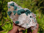 Natural Silky Ball Malachite and Drusy Quartz on Dolomite Specimens x 4 From Mindingi Mine, Kambove, Congo - Toprock Gemstones and Minerals 