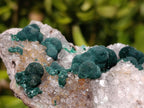 Natural Silky Ball Malachite and Drusy Quartz on Dolomite Specimens x 4 From Mindingi Mine, Kambove, Congo - Toprock Gemstones and Minerals 