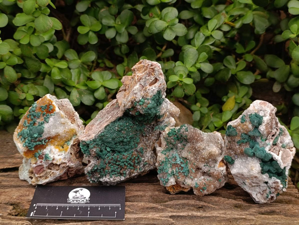 Natural Silky Ball Malachite and Drusy Quartz on Dolomite Specimens x 4 From Mindingi Mine, Kambove, Congo - Toprock Gemstones and Minerals 