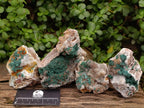 Natural Silky Ball Malachite and Drusy Quartz on Dolomite Specimens x 4 From Mindingi Mine, Kambove, Congo - Toprock Gemstones and Minerals 
