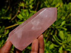 Polished Gemmy Rose Quartz Crystal Points x 4 From Madagascar - Toprock Gemstones and Minerals 
