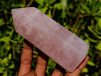 Polished Gemmy Rose Quartz Crystal Points x 4 From Madagascar - Toprock Gemstones and Minerals 