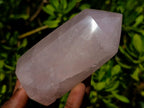 Polished Gemmy Rose Quartz Crystal Points x 4 From Madagascar - Toprock Gemstones and Minerals 