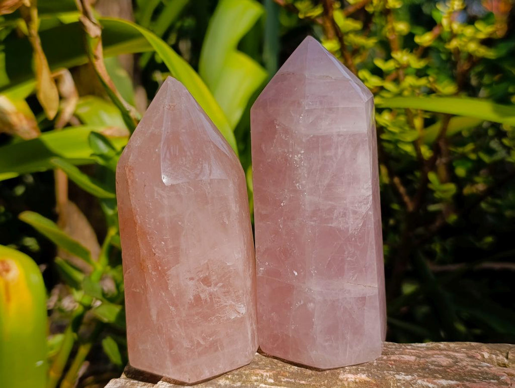Polished Gemmy Rose Quartz Crystal Points x 4 From Madagascar - Toprock Gemstones and Minerals 