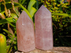 Polished Gemmy Rose Quartz Crystal Points x 4 From Madagascar - Toprock Gemstones and Minerals 