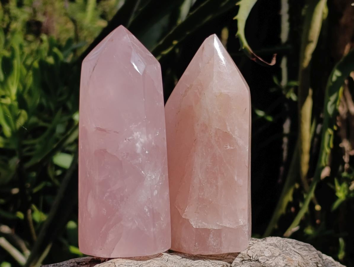 Polished Gemmy Rose Quartz Crystal Points x 4 From Madagascar - Toprock Gemstones and Minerals 