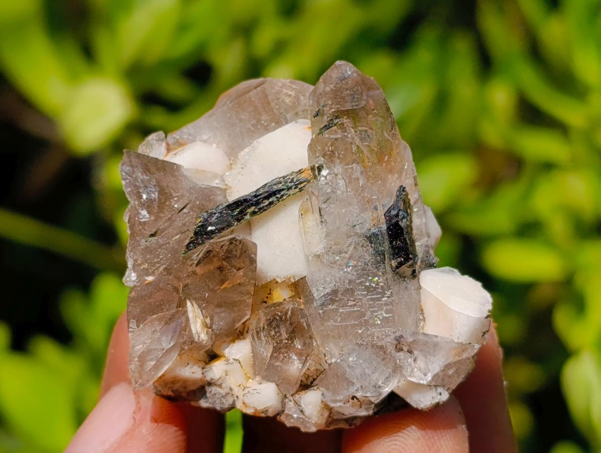 Natural Aegirine Orthoclase and Smokey Quartz Specimens x 37 From Zomba, Malawi - Toprock Gemstones and Minerals 