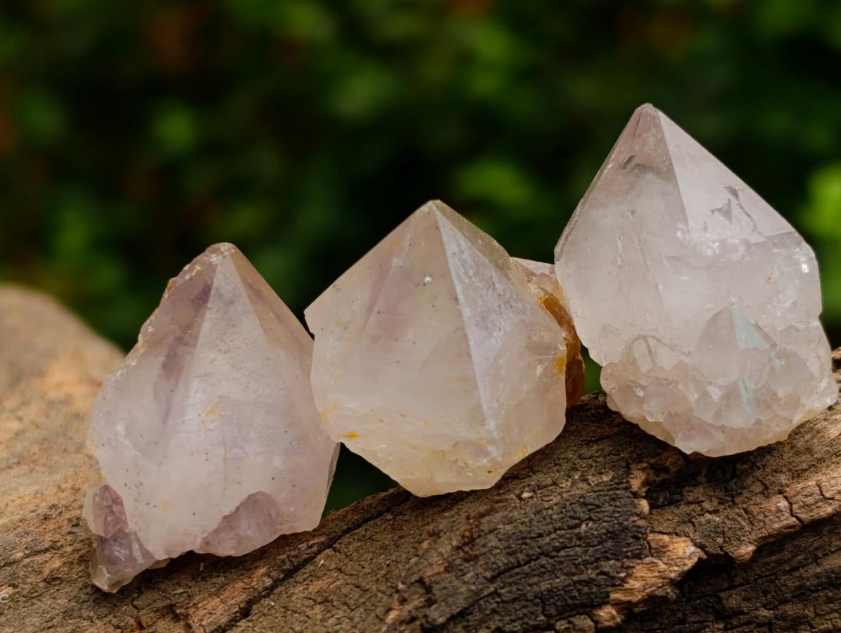 Natural Mixed Spirit Quartz Crystals x 140 From Boekenhouthoek, South Africa - Toprock Gemstones and Minerals 