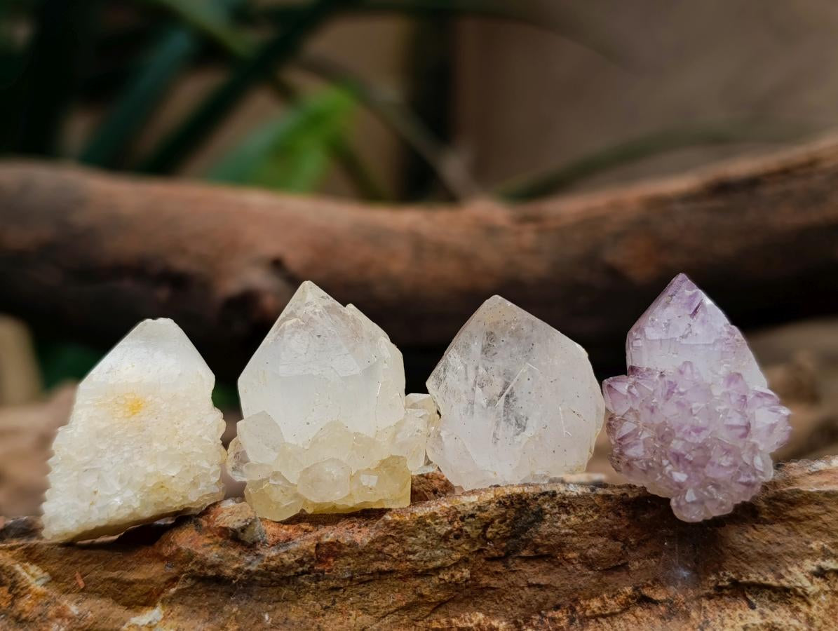 Natural Mixed Spirit Quartz Crystals x 140 From Boekenhouthoek, South Africa - Toprock Gemstones and Minerals 